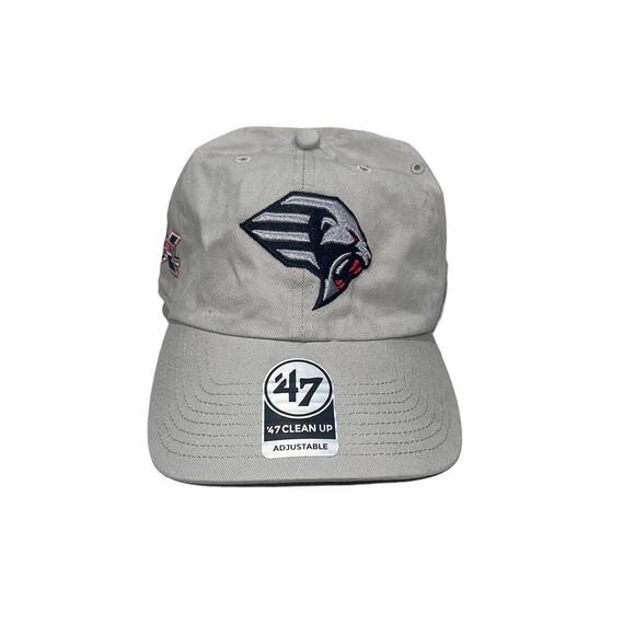 '47 Brand Other - NWT! '47 Brand XFL New York Guardians Clean Up Baseball Cap - Gray